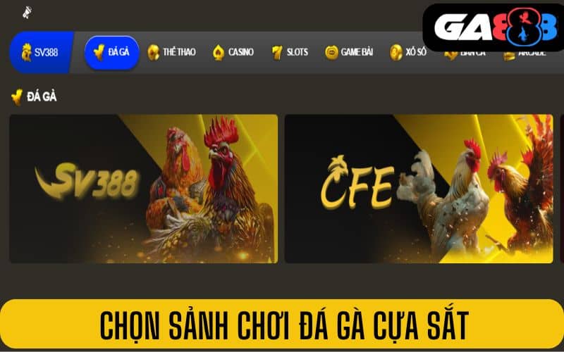 Chọn sảnh chơi đá gà cựa sắt tại GA888