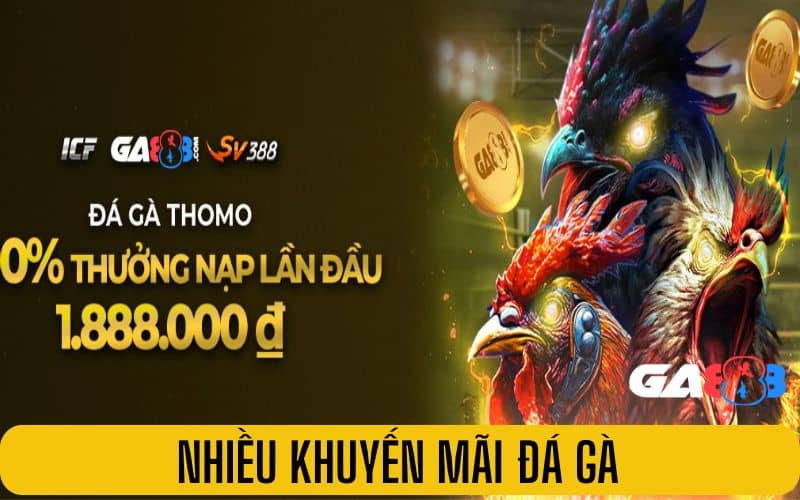 Nhiều khuyến mãi đá gà cho người chơi