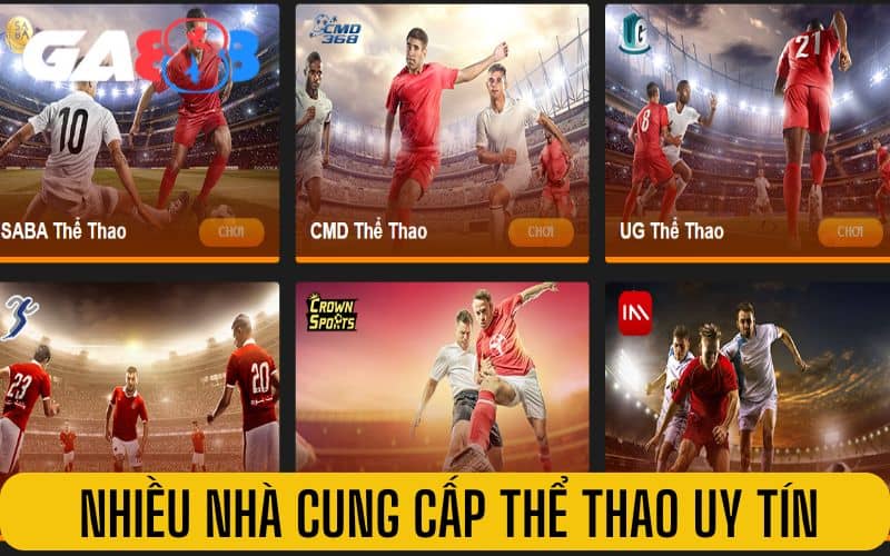 Thể thao GA888 có nhiều nhà cung cấp uy tín