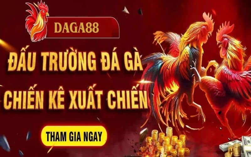 DAGA88 có dịch vụ phát trực tiếp đá gà chất lượng